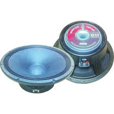 P audio speaker 15 best sale inch 300 watt price