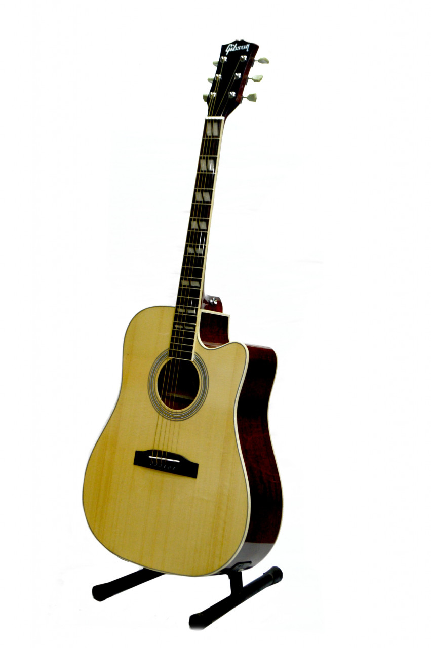 Gibson FN-99ce