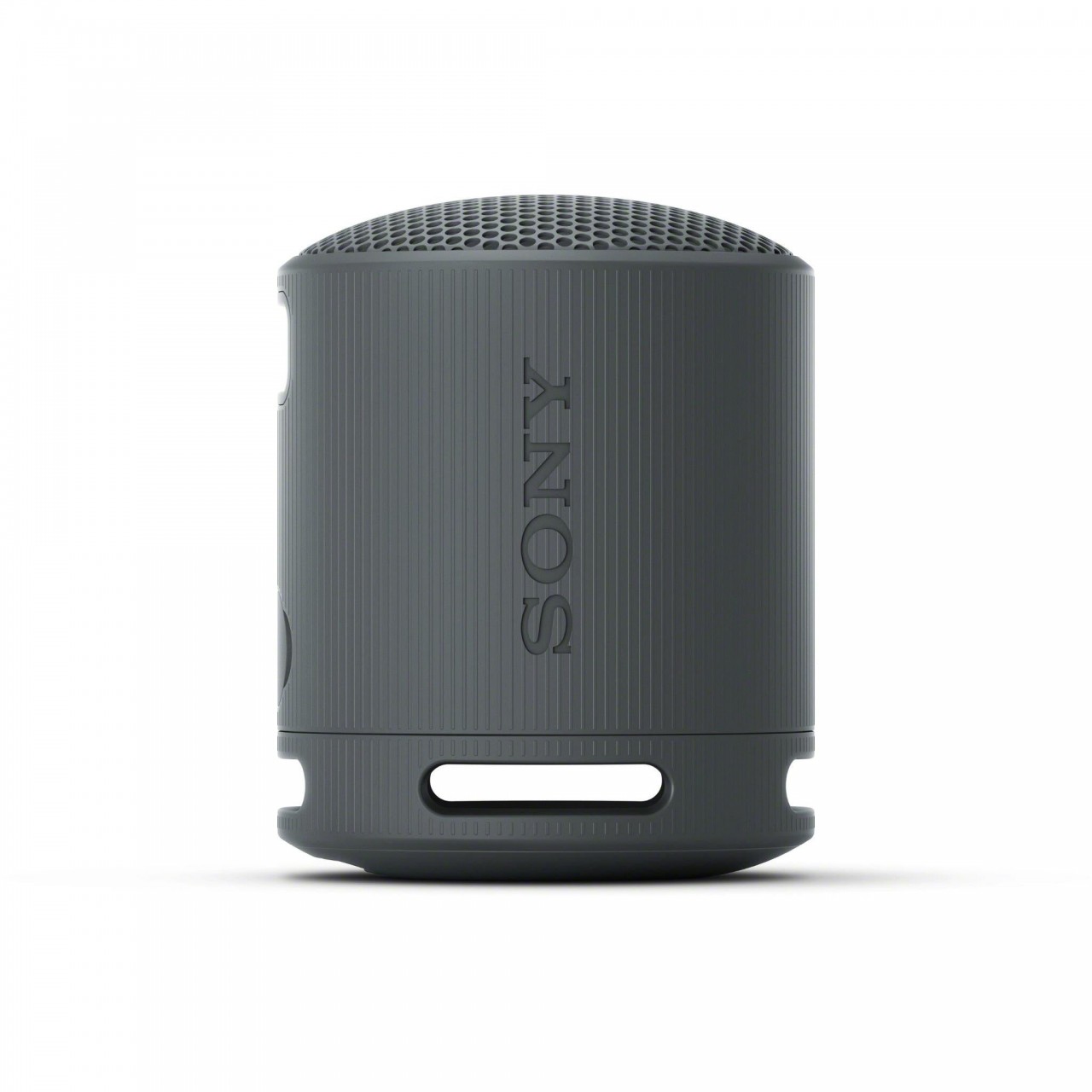 Sony SRS-XB100