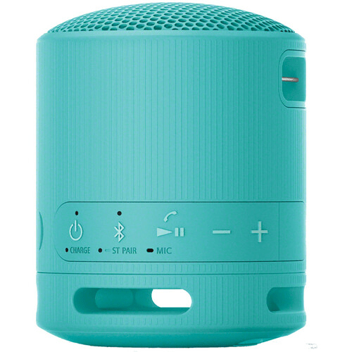 Sony SRS-XB100