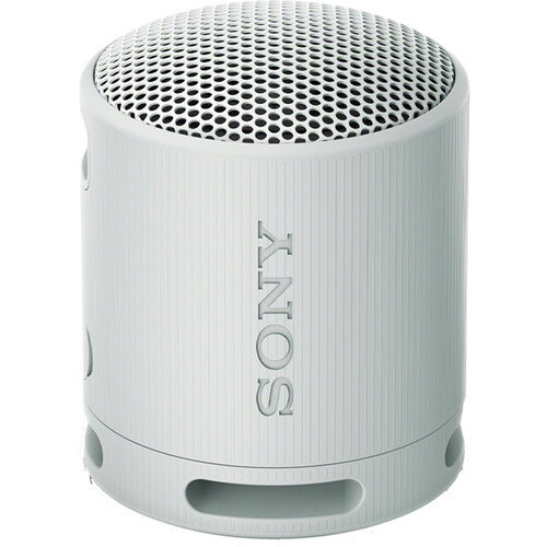 Sony SRS-XB100