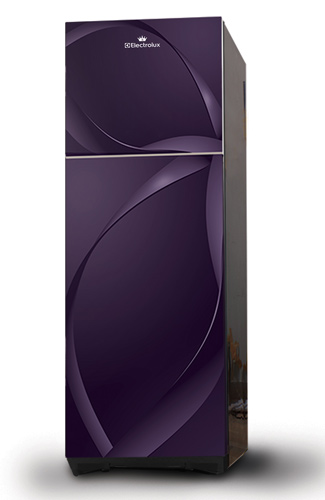 engel fridge adelaide