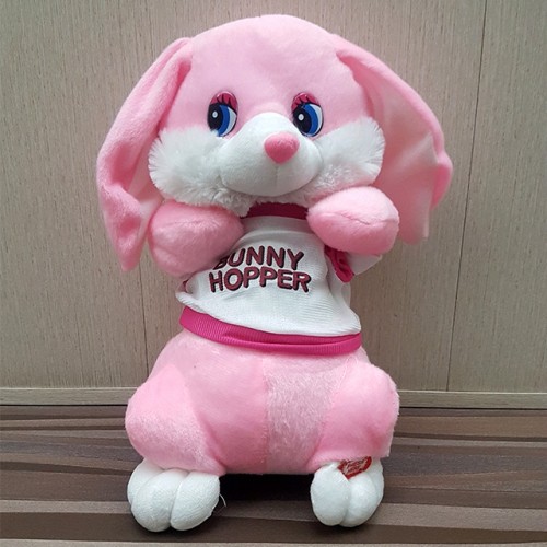 bunny hopper toy