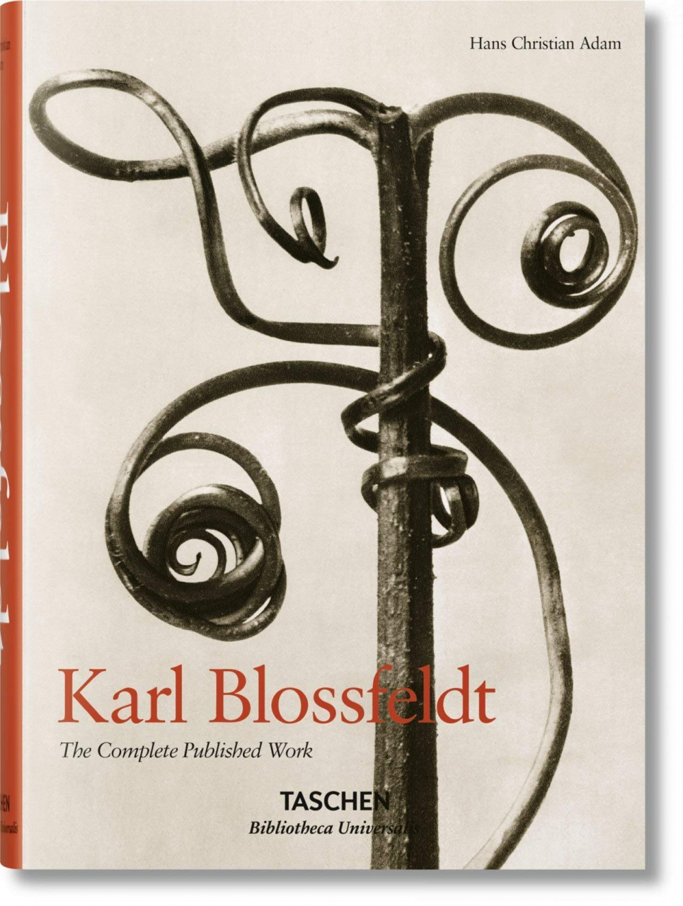 Karl Blossfeldt