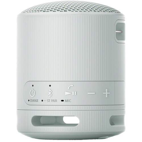 Sony SRS-XB100