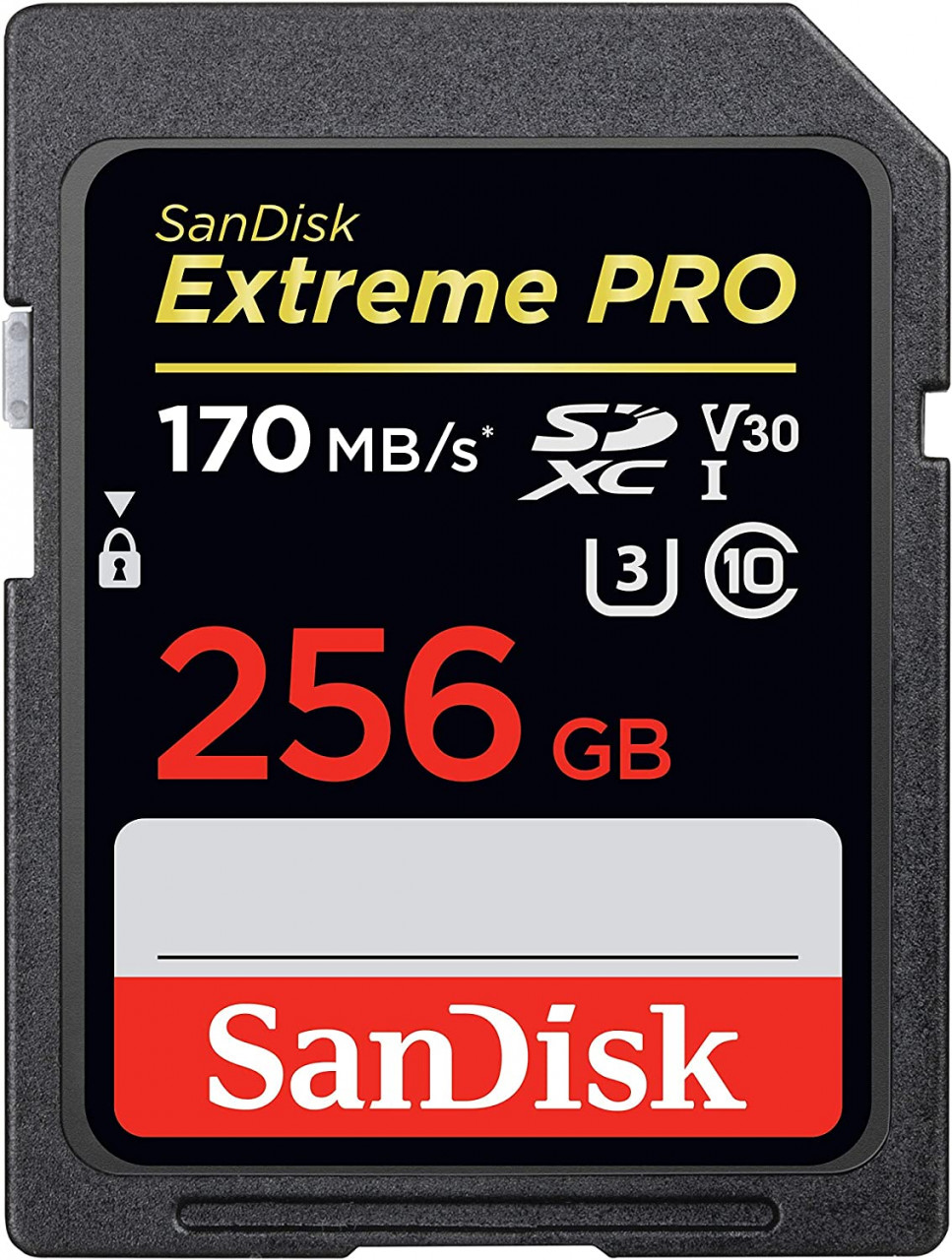 SanDisk 256GB