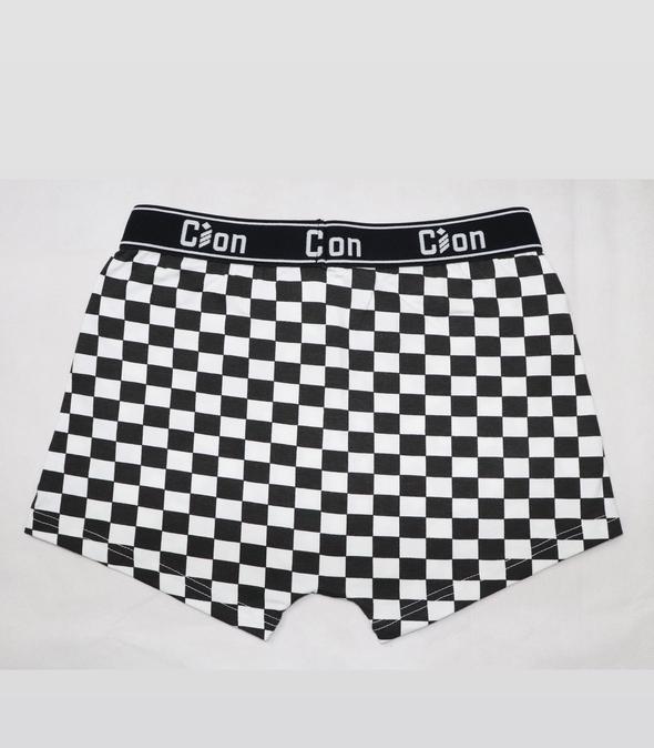 Cion Checkered