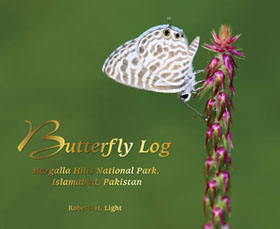 Butterfly log