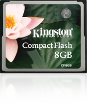 Kingston Compact