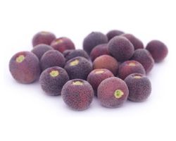 Fresh Falsa