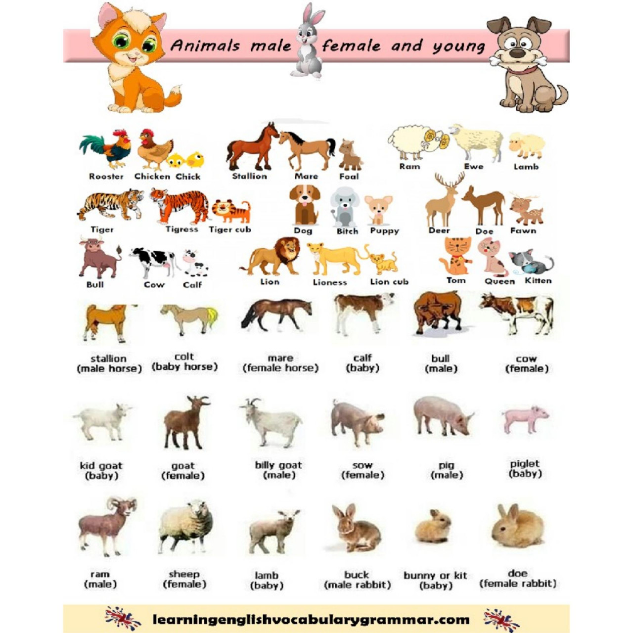 A To Z Learning Baby Animal Bb Price In Pakistan 