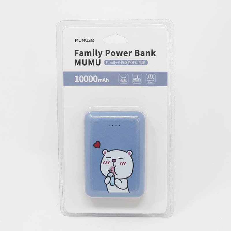 Power Bank