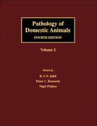 Pathology of