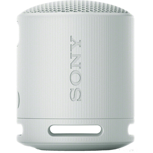 Sony SRS-XB100