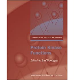 Protein Kinase