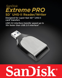 SanDisk SDDR-399-G46