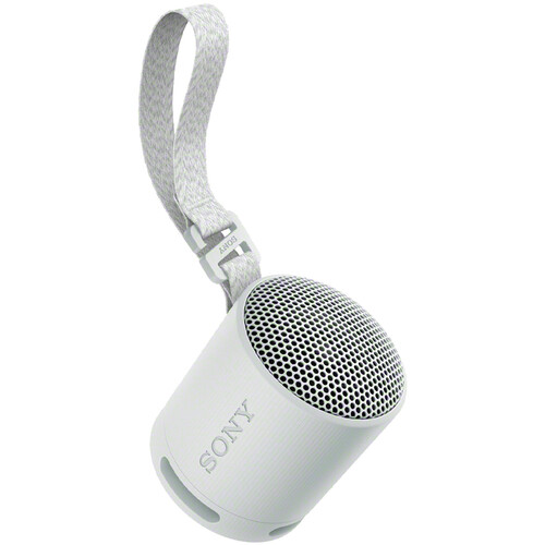 Sony SRS-XB100