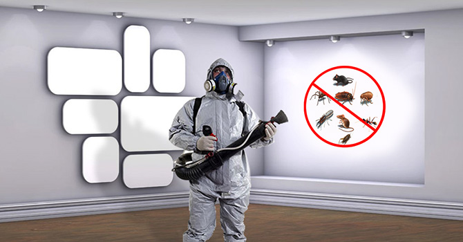 Best Pest Control Services