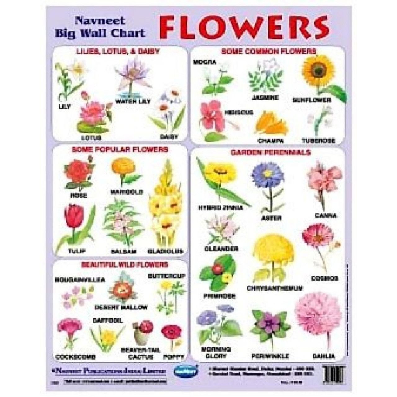 Flower Price Chart