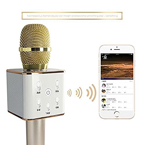 Image result for Portable Multi-function Bluetooth Microphone with built in Speaker