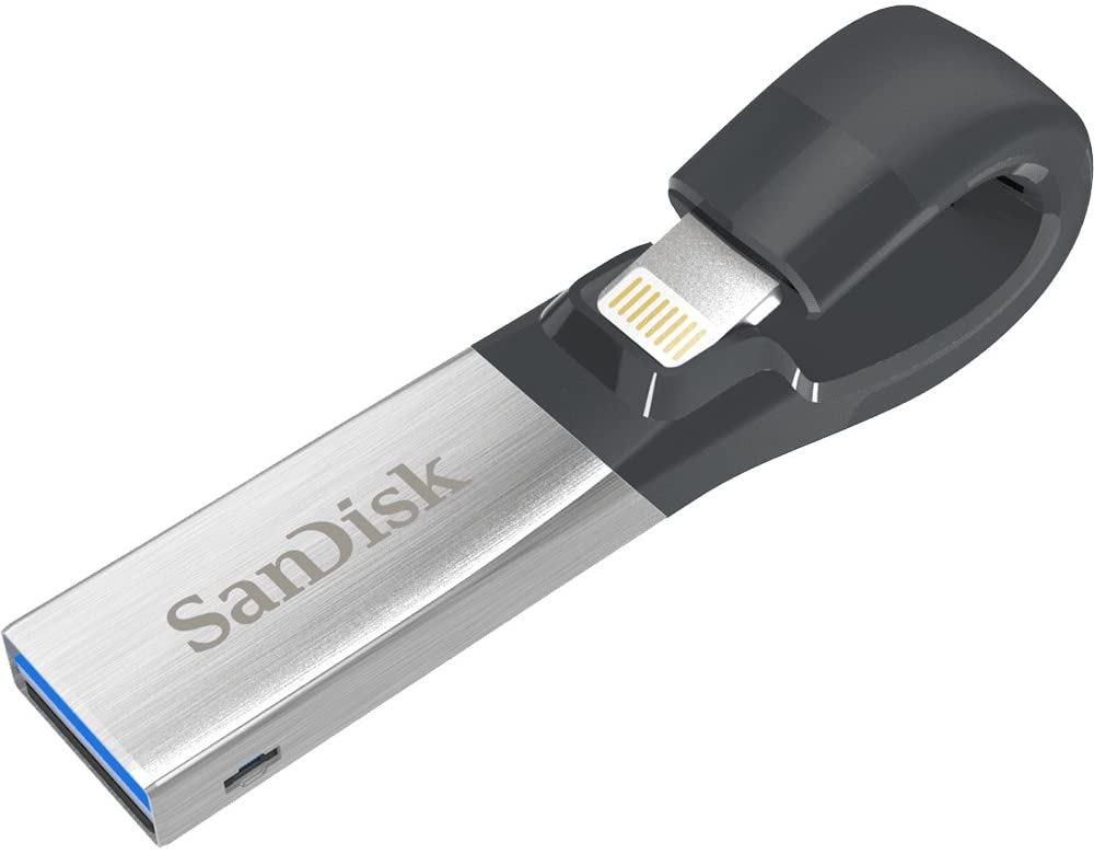 SanDisk SDIX30N