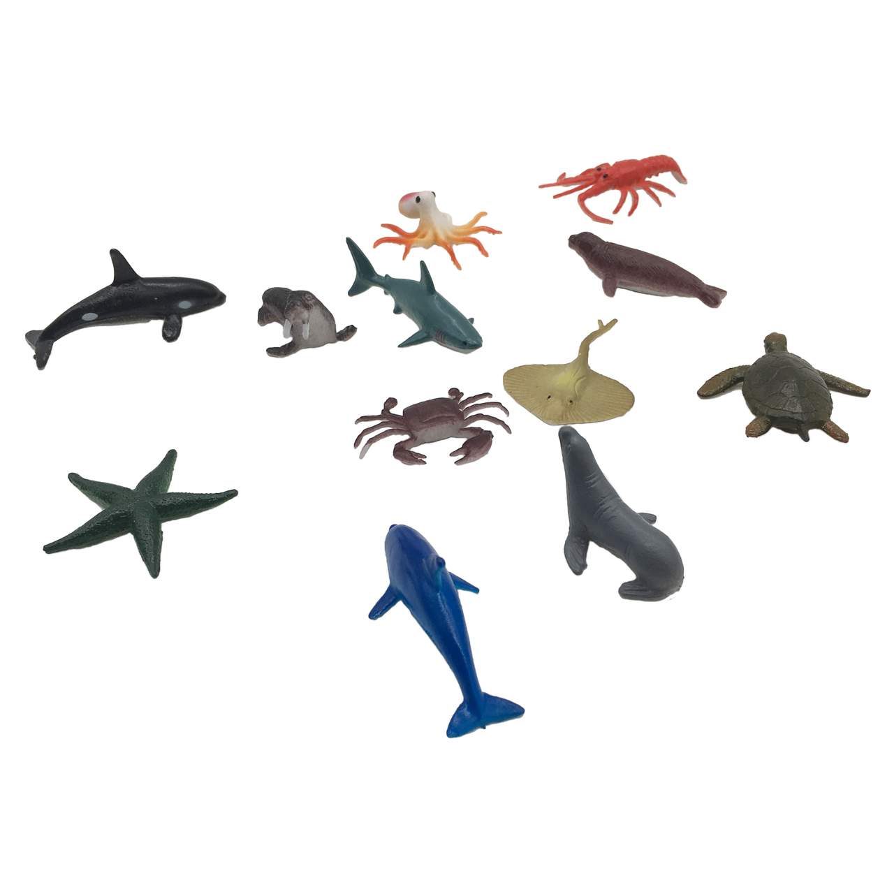 Ocean Animals