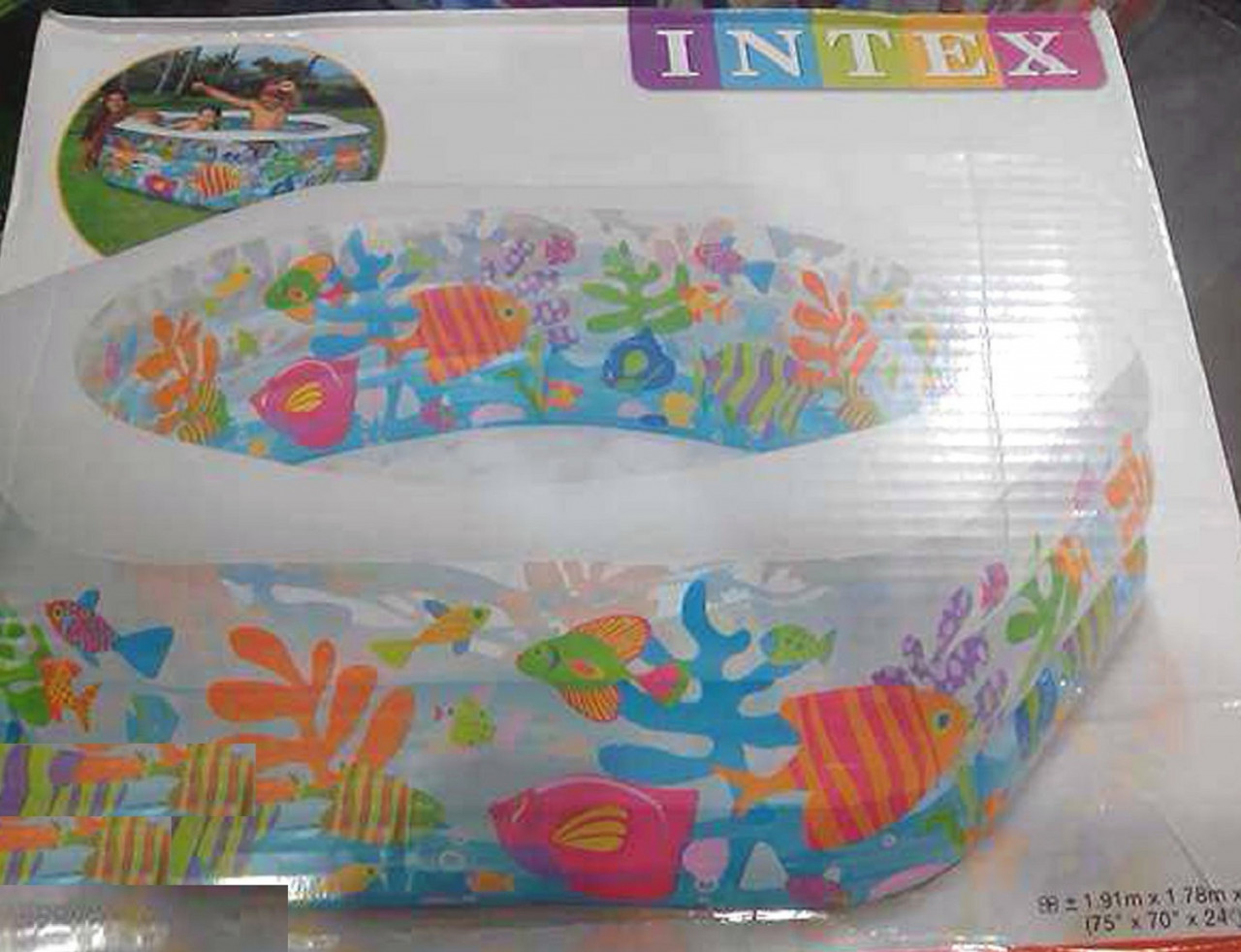 Intex Inflatable Baby Bathtub Pool 75 X 70 X 24 Tr14452018