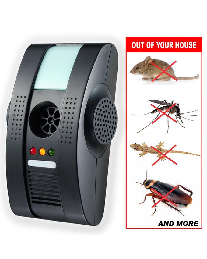 Mosquito, Mouse,